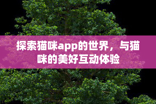 探索猫咪app的世界,与猫咪的美好互动体验 探索猫咪app的世界,与猫咪的美好互动体验