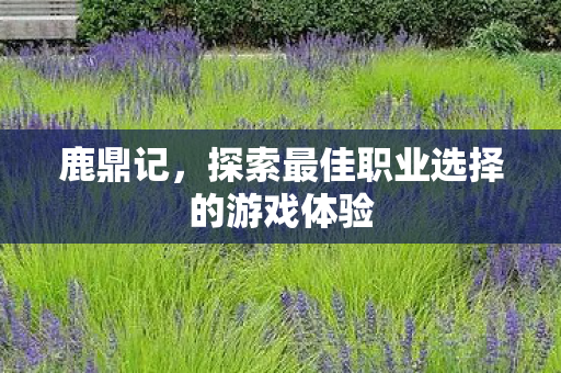 鹿鼎记，探索最佳职业选择的游戏体验