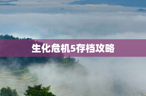 生化危机5存档攻略
