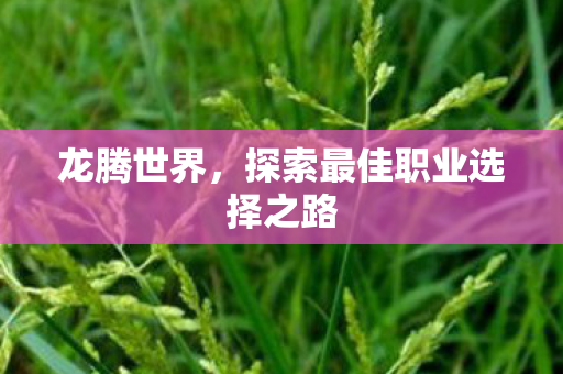 龙腾世界,探索最佳职业选择之路 龙腾世界,探索最佳职业选择之路
