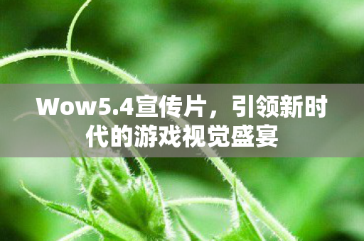 Wow5.4宣传片,引领新时代的游戏视觉盛宴 Wow5.4宣传片,引领新时代的游戏视觉盛宴
