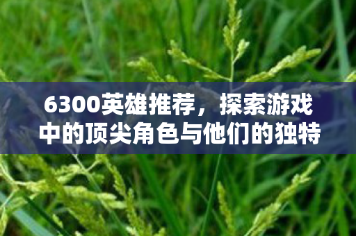 6300英雄推荐，探索游戏中的顶尖角色与他们的独特魅力