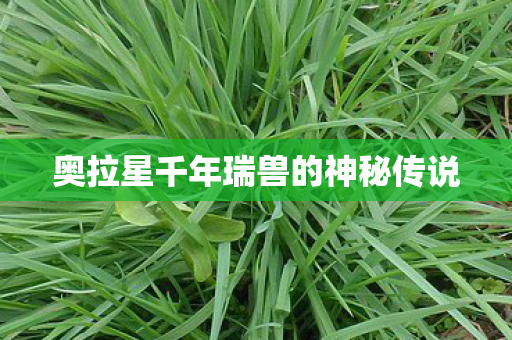 奥拉星千年瑞兽的神秘传说 奥拉星千年瑞兽的神秘传说