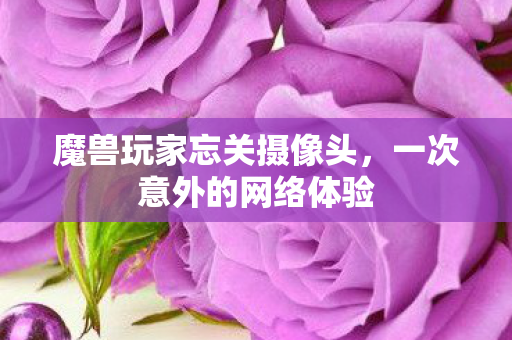 魔兽玩家忘关摄像头,一次意外的网络体验 魔兽玩家忘关摄像头,一次意外的网络体验