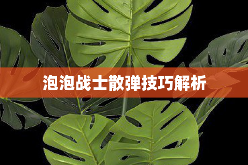 泡泡战士散弹技巧解析 泡泡战士散弹技巧解析