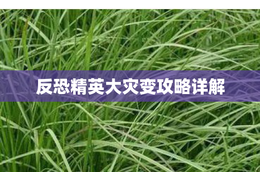 反恐精英大灾变攻略详解