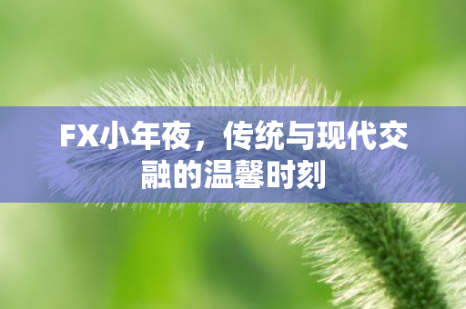 FX小年夜，传统与现代交融的温馨时刻