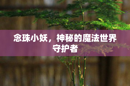 念珠小妖,神秘的魔法世界守护者 念珠小妖,神秘的魔法世界守护者