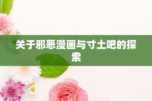 关于邪恶漫画与寸土吧的探索 关于邪恶漫画与寸土吧的探索