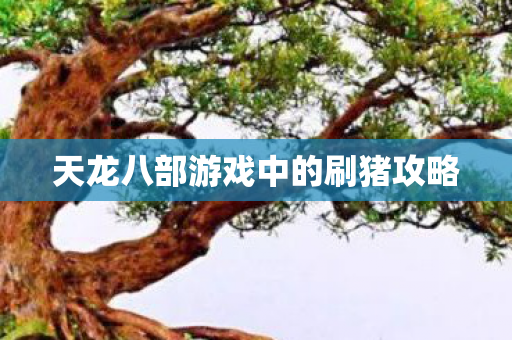 天龙八部游戏中的刷猪攻略