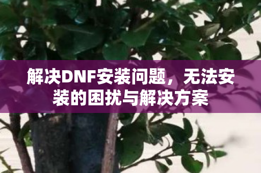 解决DNF安装问题,无法安装的困扰与解决方案 解决DNF安装问题,无法安装的困扰与解决方案