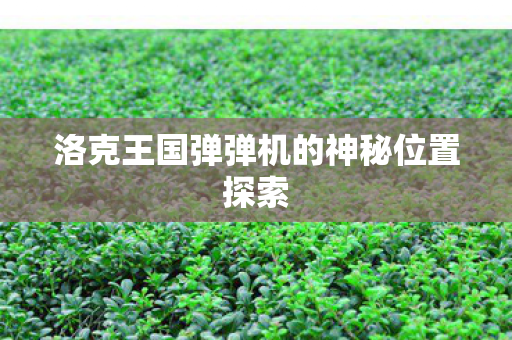 洛克王国弹弹机的神秘位置探索 洛克王国弹弹机的神秘位置探索