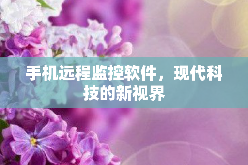 手机远程监控软件，现代科技的新视界