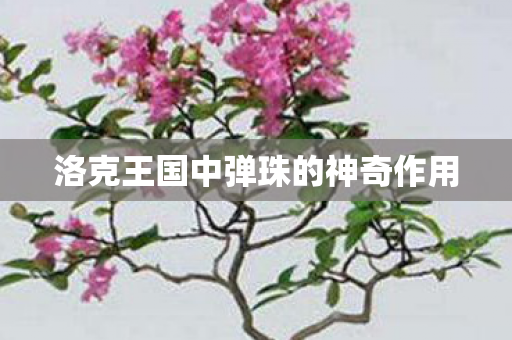 洛克王国中弹珠的神奇作用 洛克王国中弹珠的神奇作用