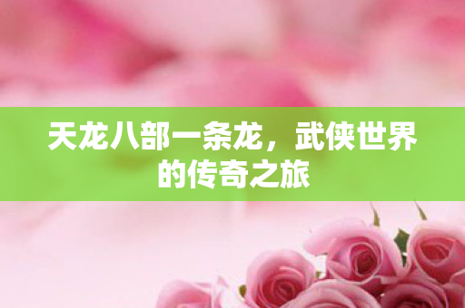 天龙八部一条龙，武侠世界的传奇之旅