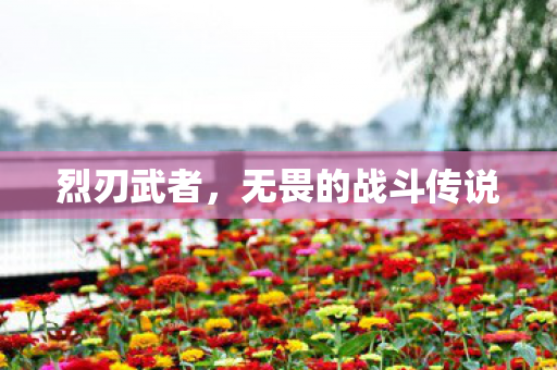烈刃武者，无畏的战斗传说