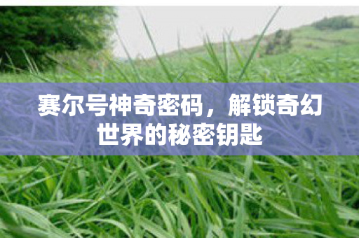 赛尔号神奇密码，解锁奇幻世界的秘密钥匙