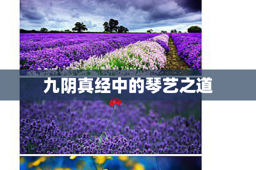 九阴真经中的琴艺之道 九阴真经中的琴艺之道