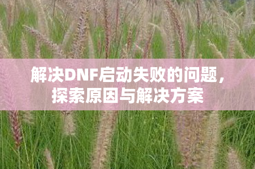 解决DNF启动失败的问题，探索原因与解决方案