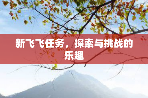 新飞飞任务，探索与挑战的乐趣