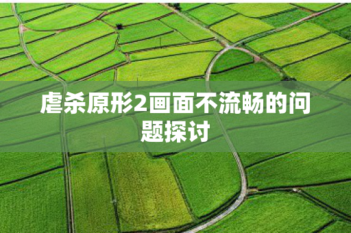 虐杀原形2画面不流畅的问题探讨 虐杀原形2画面不流畅的问题探讨