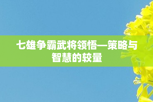 七雄争霸武将领悟—策略与智慧的较量 七雄争霸武将领悟—策略与智慧的较量