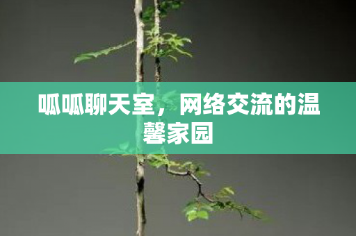 呱呱聊天室，网络交流的温馨家园