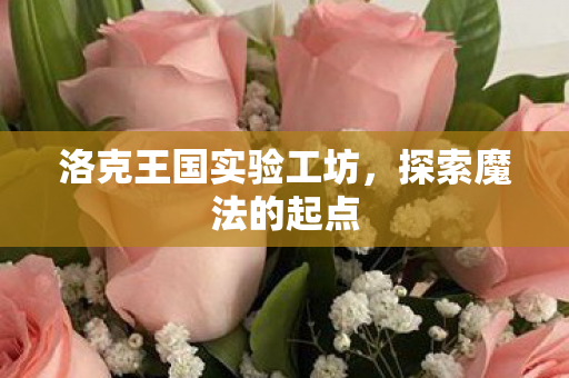 洛克王国实验工坊,探索魔法的起点 洛克王国实验工坊,探索魔法的起点