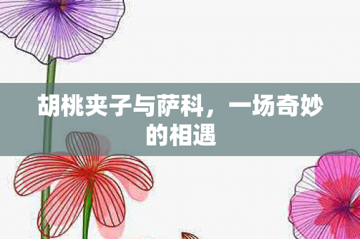 胡桃夹子与萨科,一场奇妙的相遇 胡桃夹子与萨科,一场奇妙的相遇