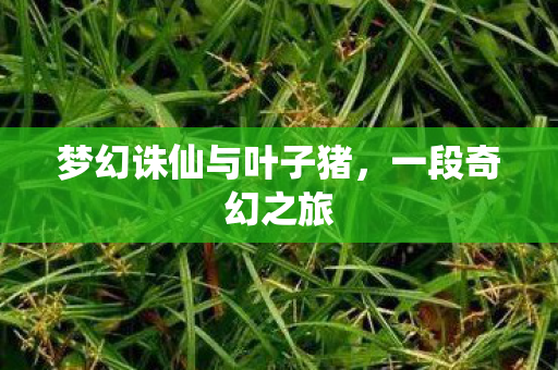 梦幻诛仙与叶子猪,一段奇幻之旅 梦幻诛仙与叶子猪,一段奇幻之旅