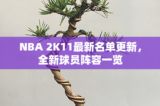 NBA 2K11最新名单更新,全新球员阵容一览 NBA 2K11最新名单更新,全新球员阵容一览