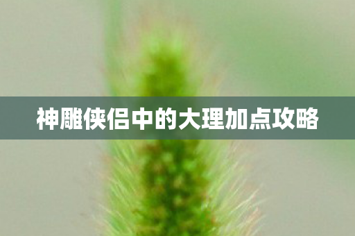 神雕侠侣中的大理加点攻略