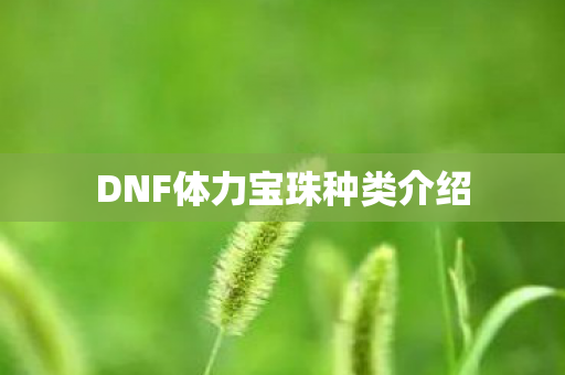 DNF体力宝珠种类介绍 DNF体力宝珠种类介绍