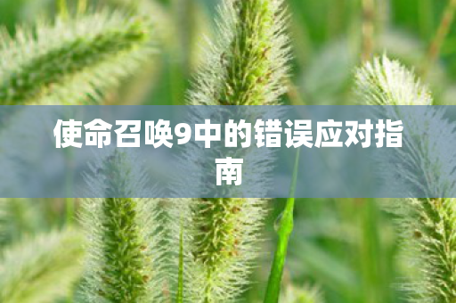 使命召唤9中的错误应对指南