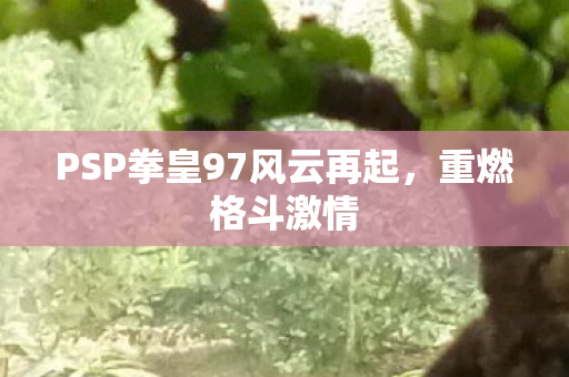 PSP拳皇97风云再起,重燃格斗激情 PSP拳皇97风云再起,重燃格斗激情
