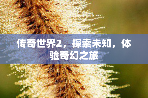 传奇世界2,探索未知,体验奇幻之旅 传奇世界2,探索未知,体验奇幻之旅