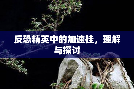 反恐精英中的加速挂,理解与探讨 反恐精英中的加速挂,理解与探讨