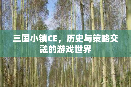 三国小镇CE,历史与策略交融的游戏世界 三国小镇CE,历史与策略交融的游戏世界