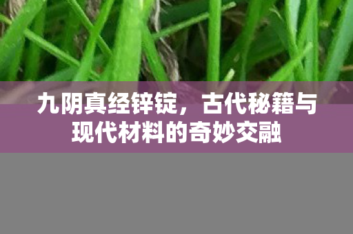 九阴真经锌锭，古代秘籍与现代材料的奇妙交融