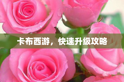 卡布西游,快速升级攻略 卡布西游,快速升级攻略