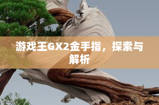游戏王GX2金手指,探索与解析 游戏王GX2金手指,探索与解析