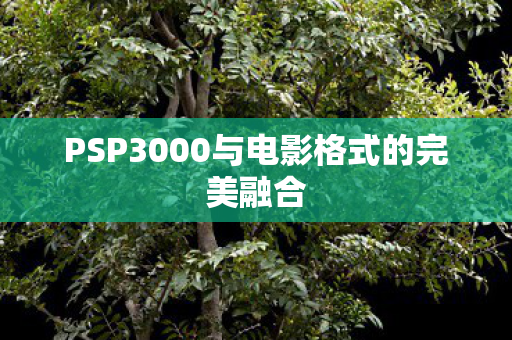 PSP3000与电影格式的完美融合 PSP3000与电影格式的完美融合