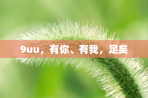 9uu,有你、有我,足矣 9uu,有你、有我,足矣