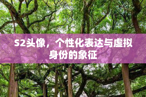 S2头像,个性化表达与虚拟身份的象征 S2头像,个性化表达与虚拟身份的象征