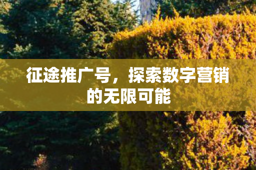 征途推广号,探索数字营销的无限可能 征途推广号,探索数字营销的无限可能