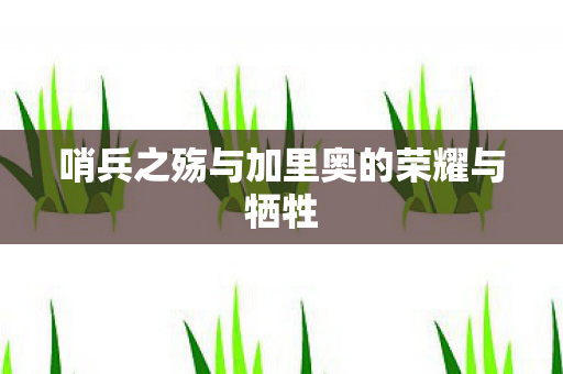 哨兵之殇与加里奥的荣耀与牺牲 哨兵之殇与加里奥的荣耀与牺牲