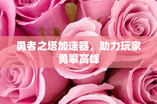 勇者之塔加速器,助力玩家勇攀高峰 勇者之塔加速器,助力玩家勇攀高峰