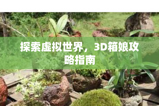探索虚拟世界,3D箱娘攻略指南 探索虚拟世界,3D箱娘攻略指南
