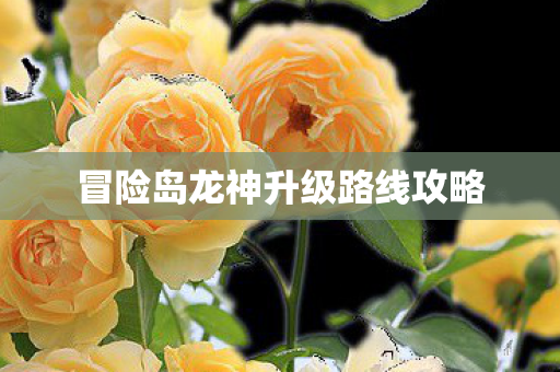 冒险岛龙神升级路线攻略 冒险岛龙神升级路线攻略