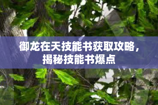御龙在天技能书获取攻略,揭秘技能书爆点 御龙在天技能书获取攻略,揭秘技能书爆点